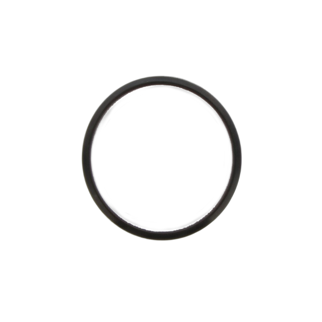 Gasket Thermostat