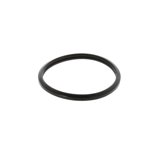 Gasket Thermostat