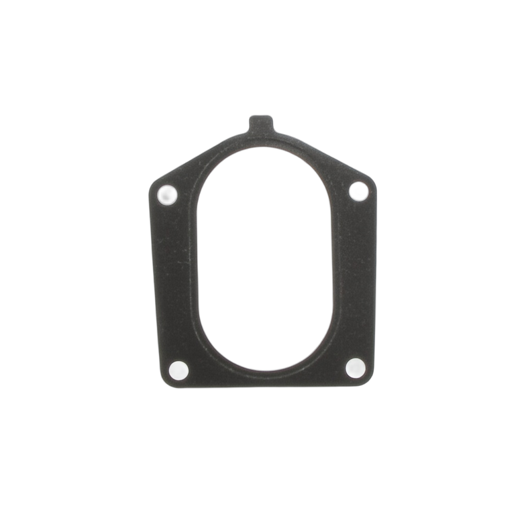 Gasket Intake