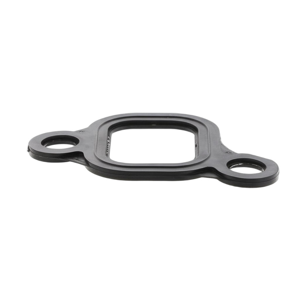 Gasket Intake