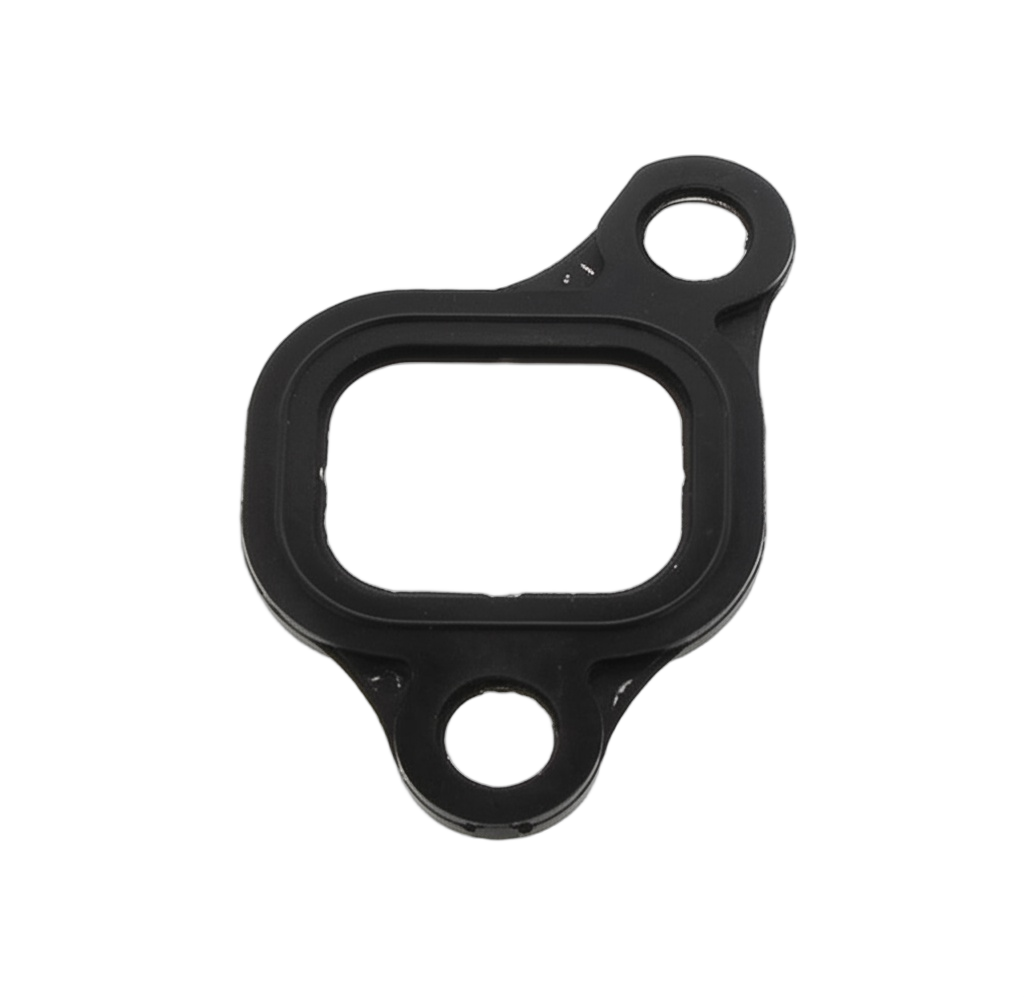 Gasket Intake