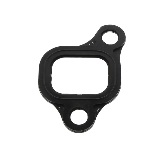 Gasket Intake