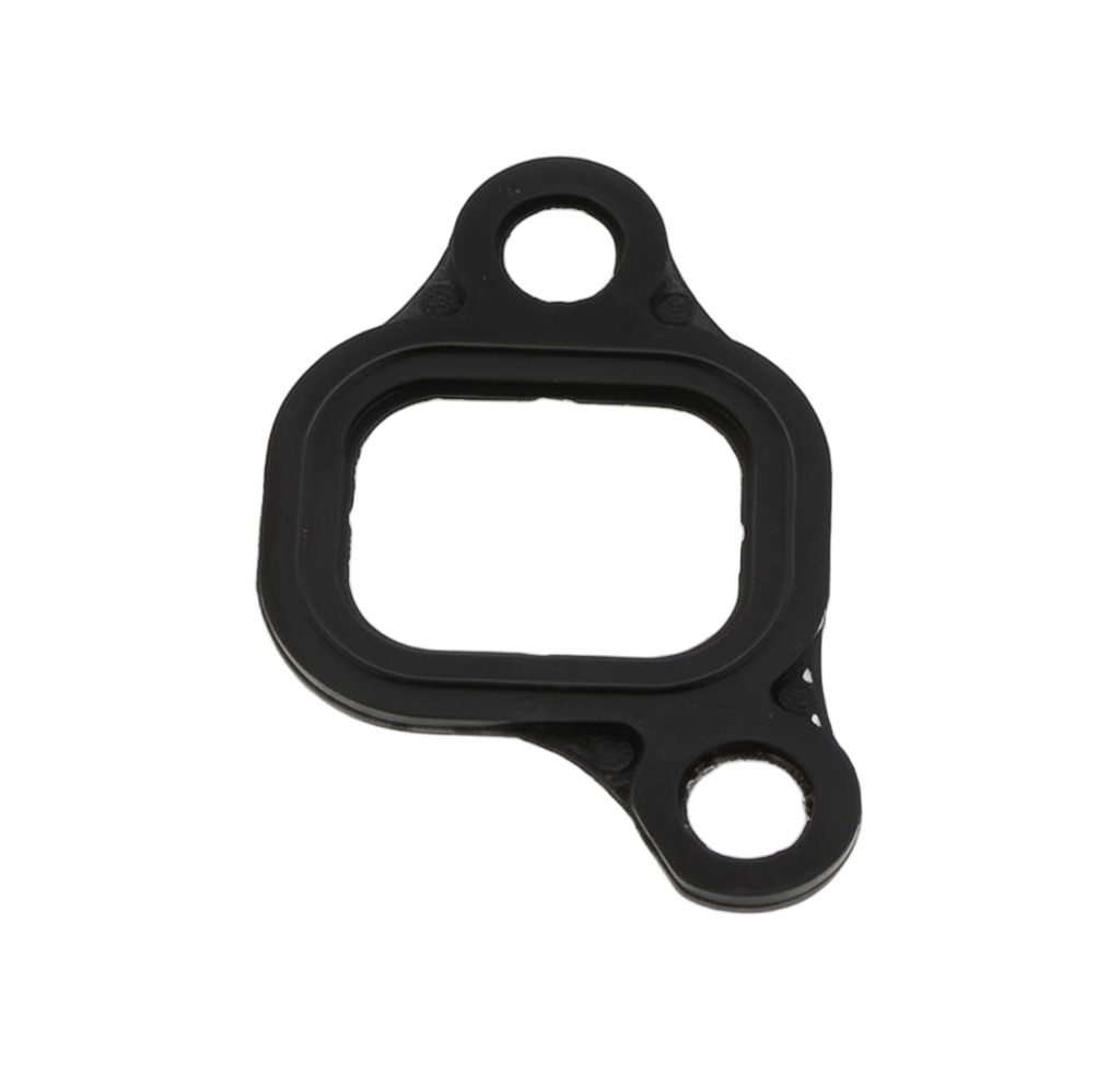 Gasket Intake