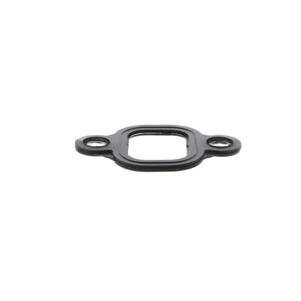 Gasket Intake