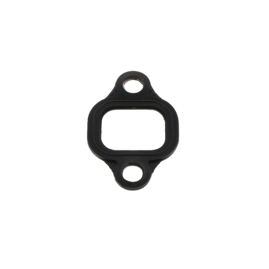 Gasket Intake