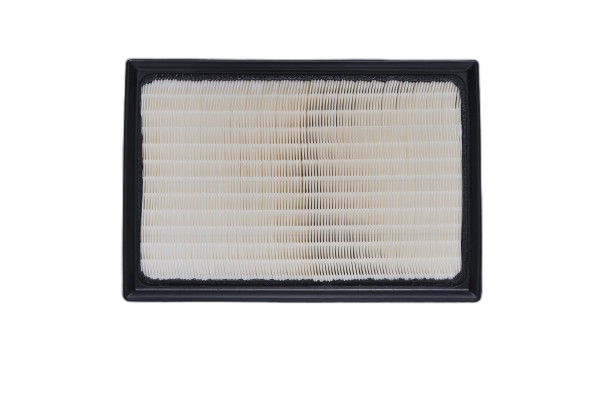 Element SUB-ASSY Air Cleaner F