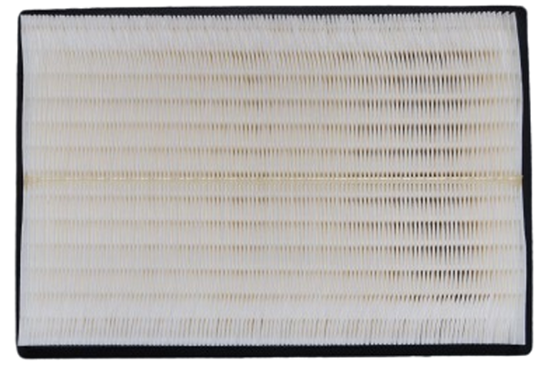 Element SUB-ASSY Air Cleaner F