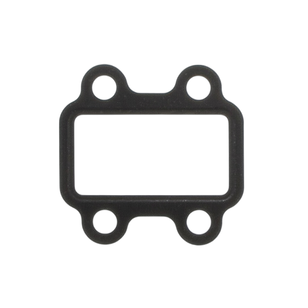 Gasket EGR Valve