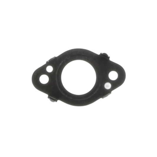Gasket EGR Valve