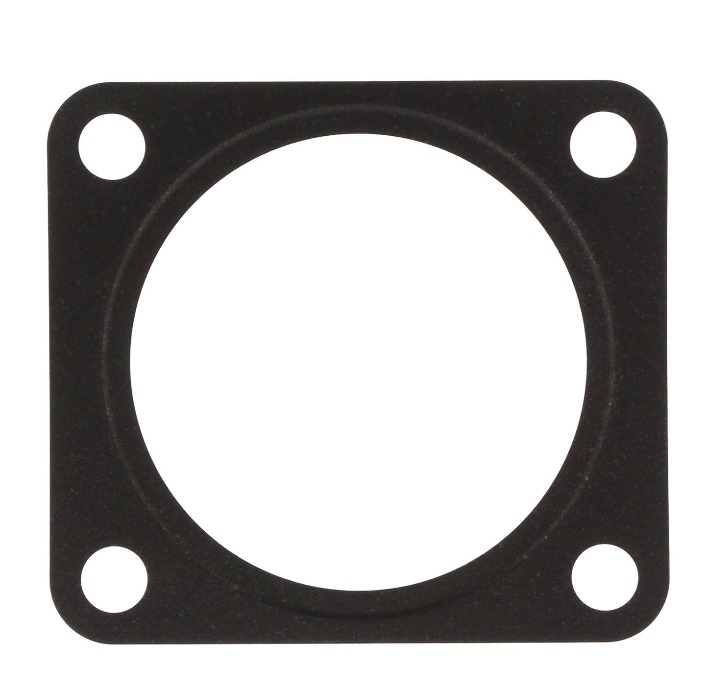 Gasket EGR Valve
