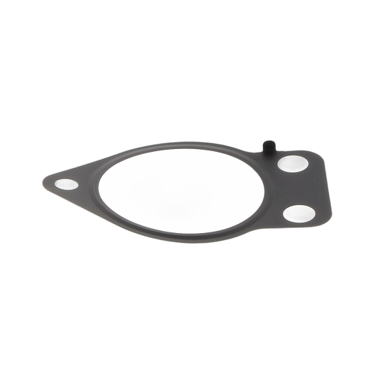 Gasket Diesel