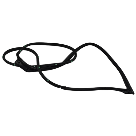 Weatherstrip FR Door LH