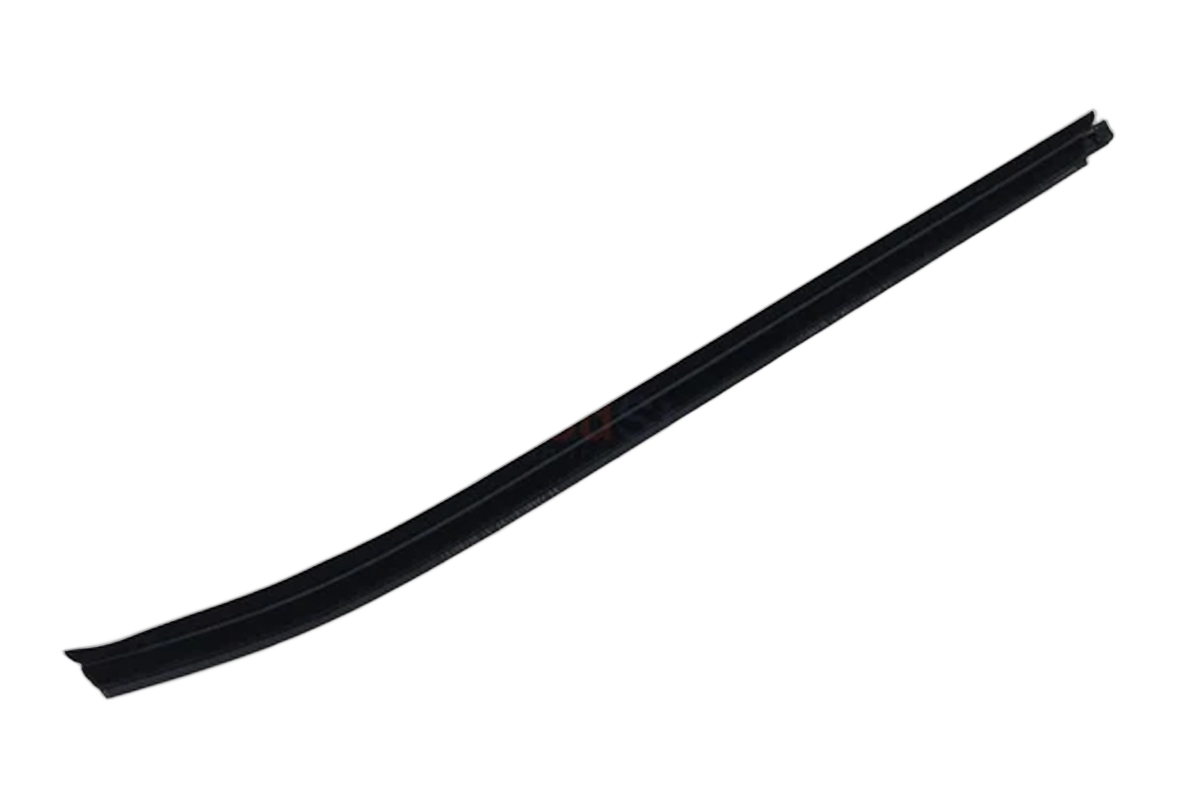 Weatherstrip RR Doo