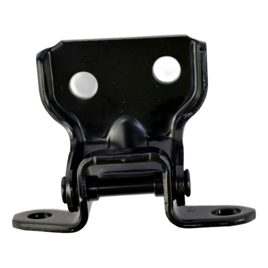 Hinge ASSY Door