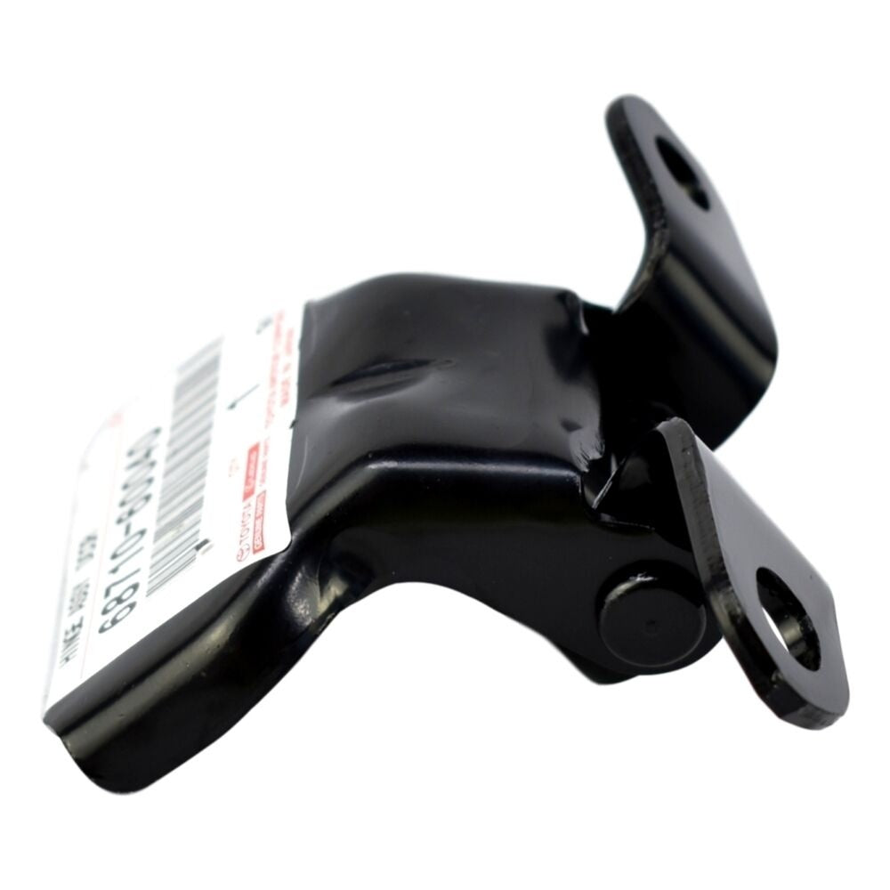 Hinge ASSY Door