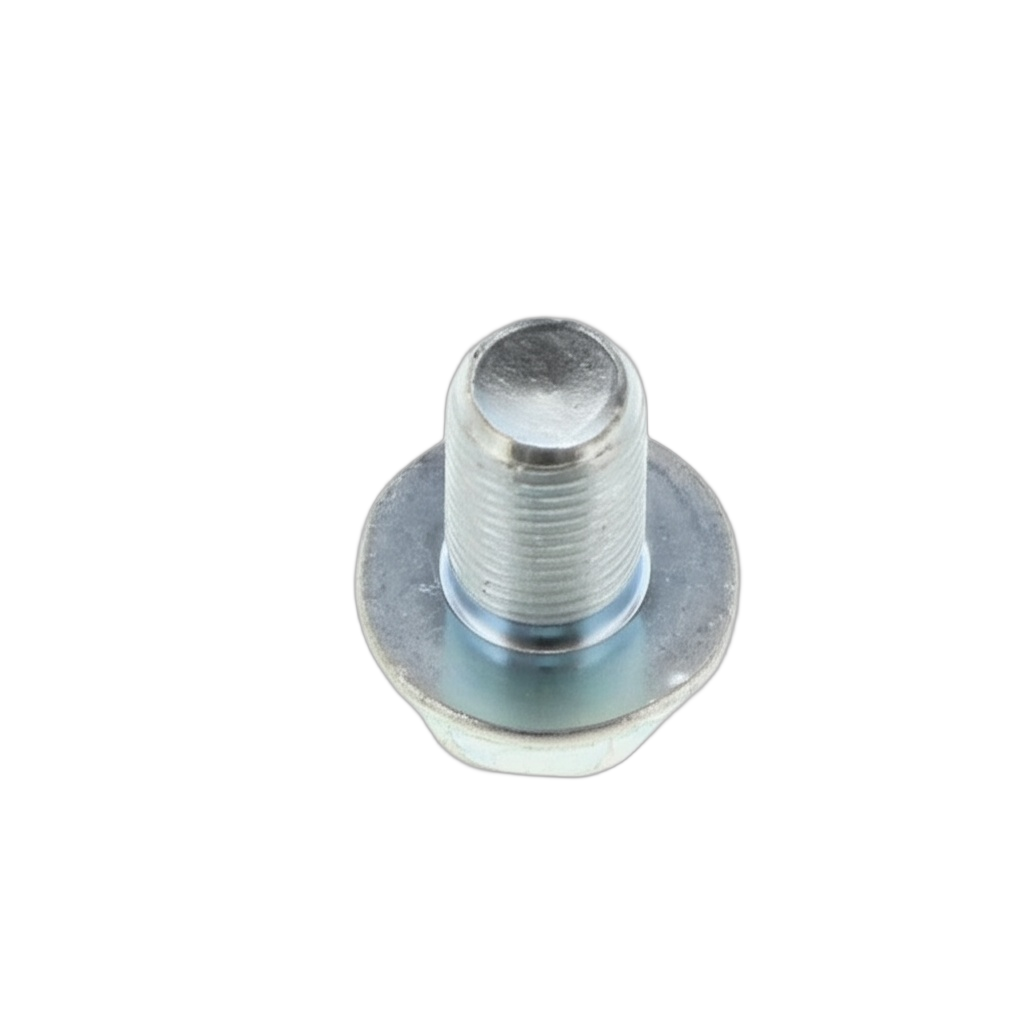 Bolt Flange