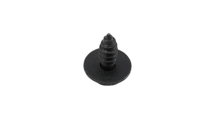 Screw W/Washer