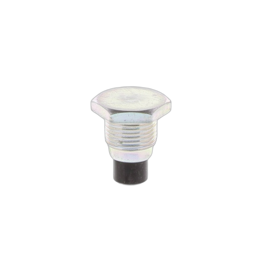 Plug Straight Screw