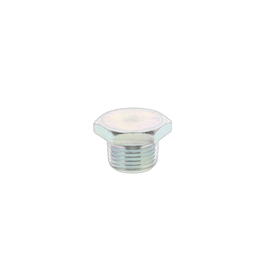 Plug Screw