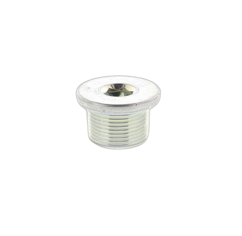 Plug Straight Screw