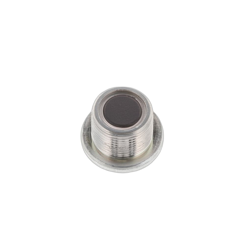 Plug Straight Screw