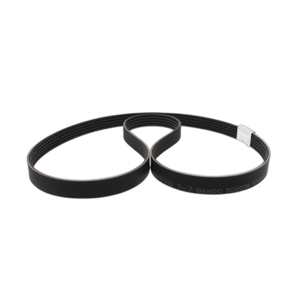 Belt V-Ribbed