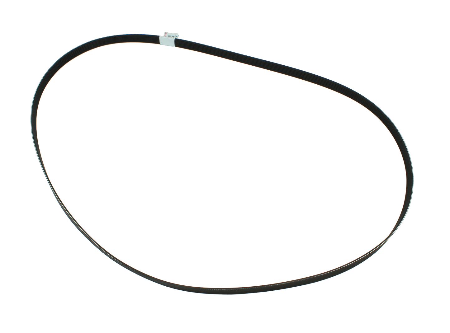 Belt V-Ribbed