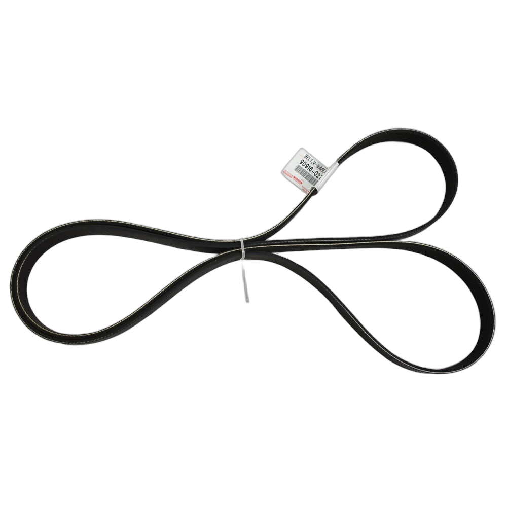 Belt V-Ribbed