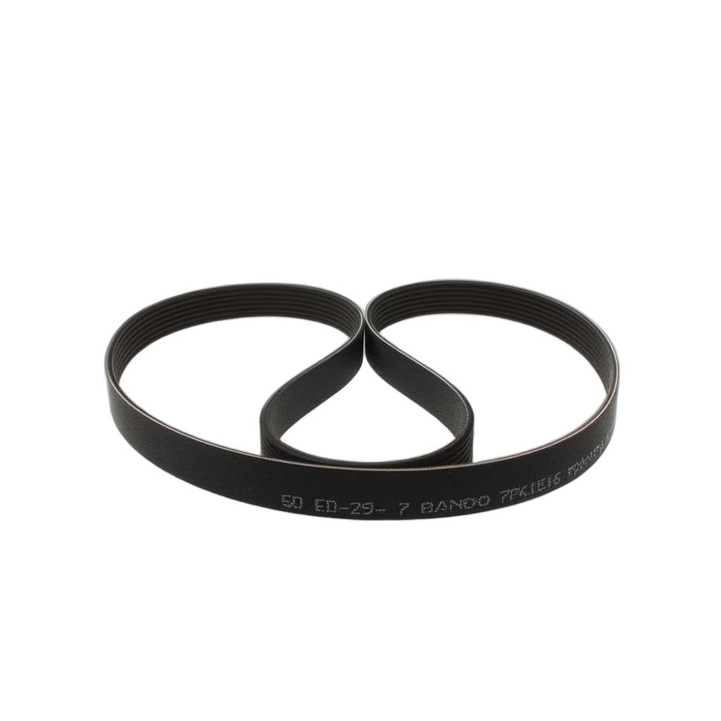 Belt V-Ribbed