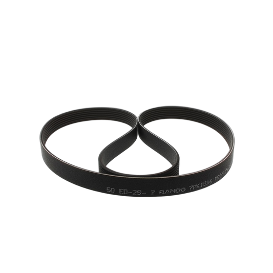Belt V-Ribbed