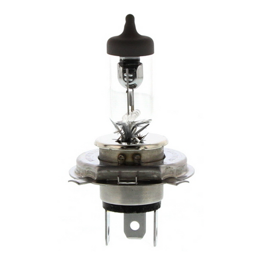 HB2 Bulb 12V 60W55W