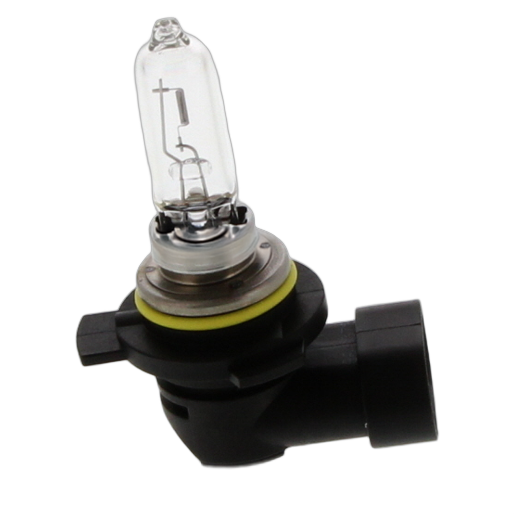 Bulb