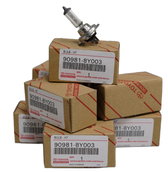 Bulb Low Beam H7
