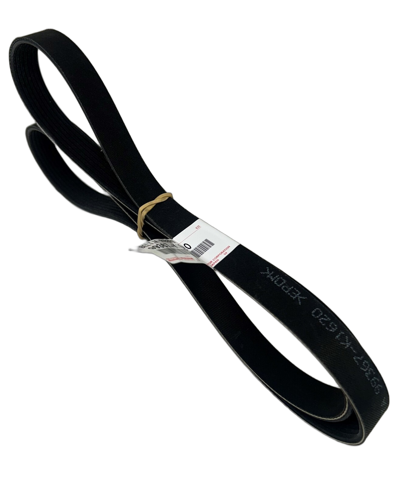 Belt V-Ribbed