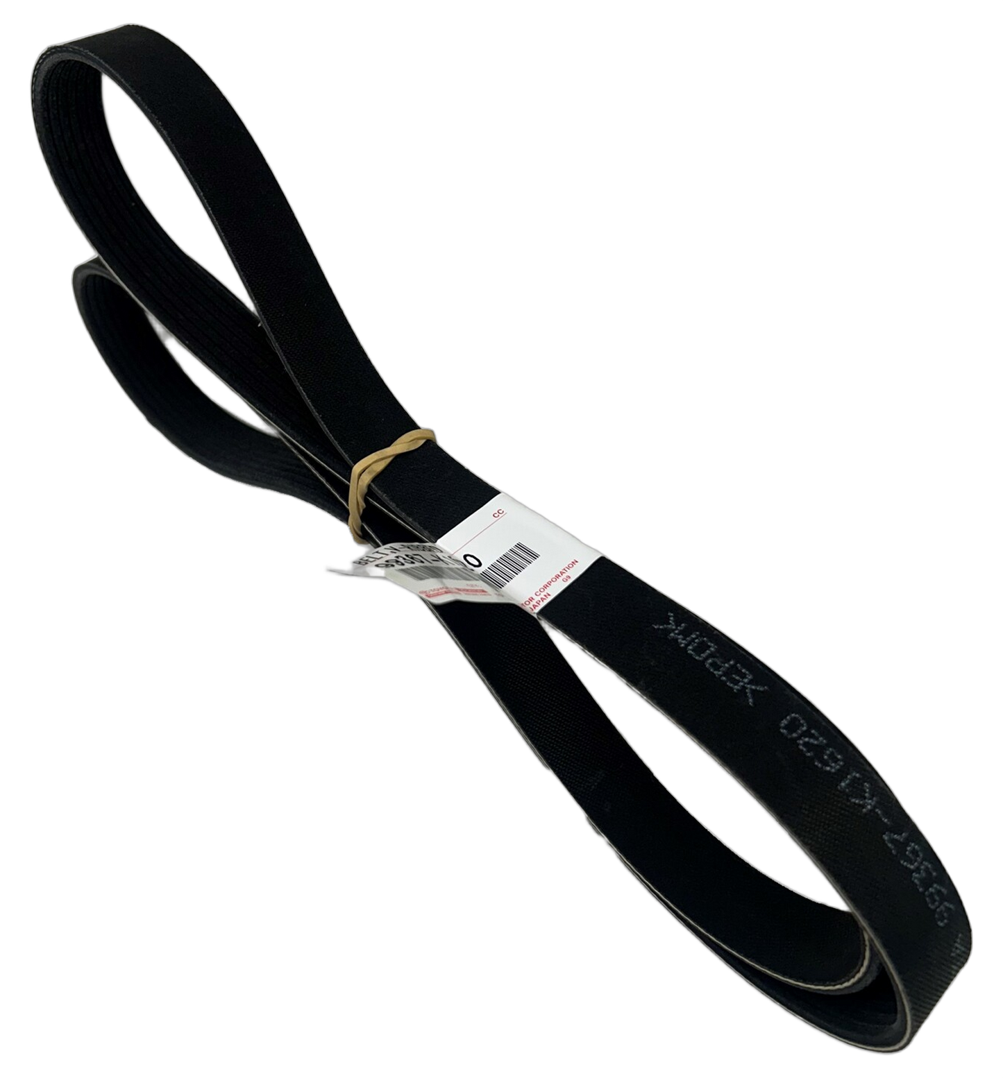 Belt V-Ribbed