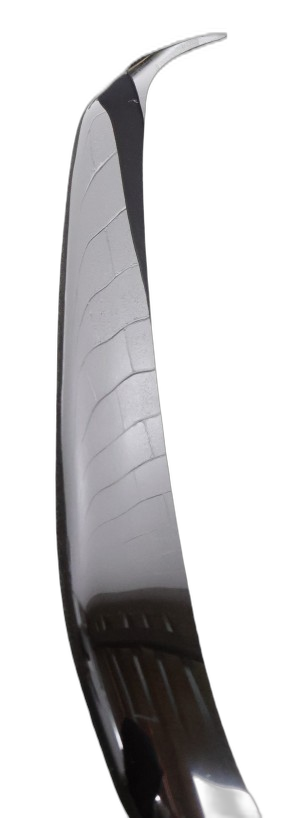 Tinted Bonnet Protector