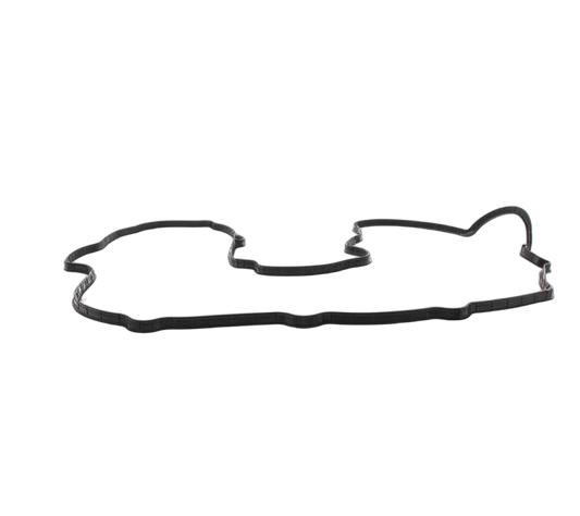 Gasket Cylinder