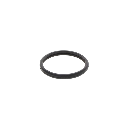 Gasket Water Inlet