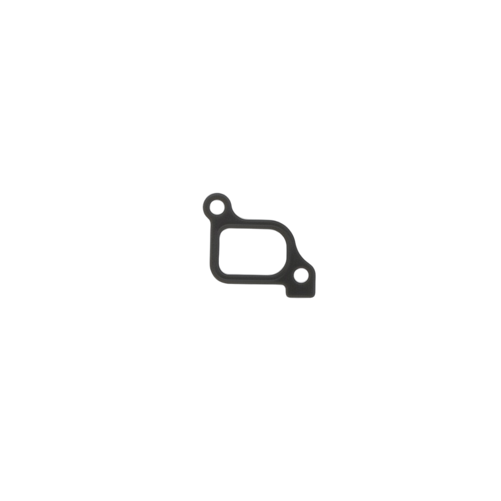 Gasket Water Outlet