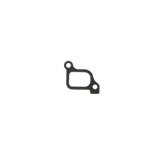Gasket Water Outlet