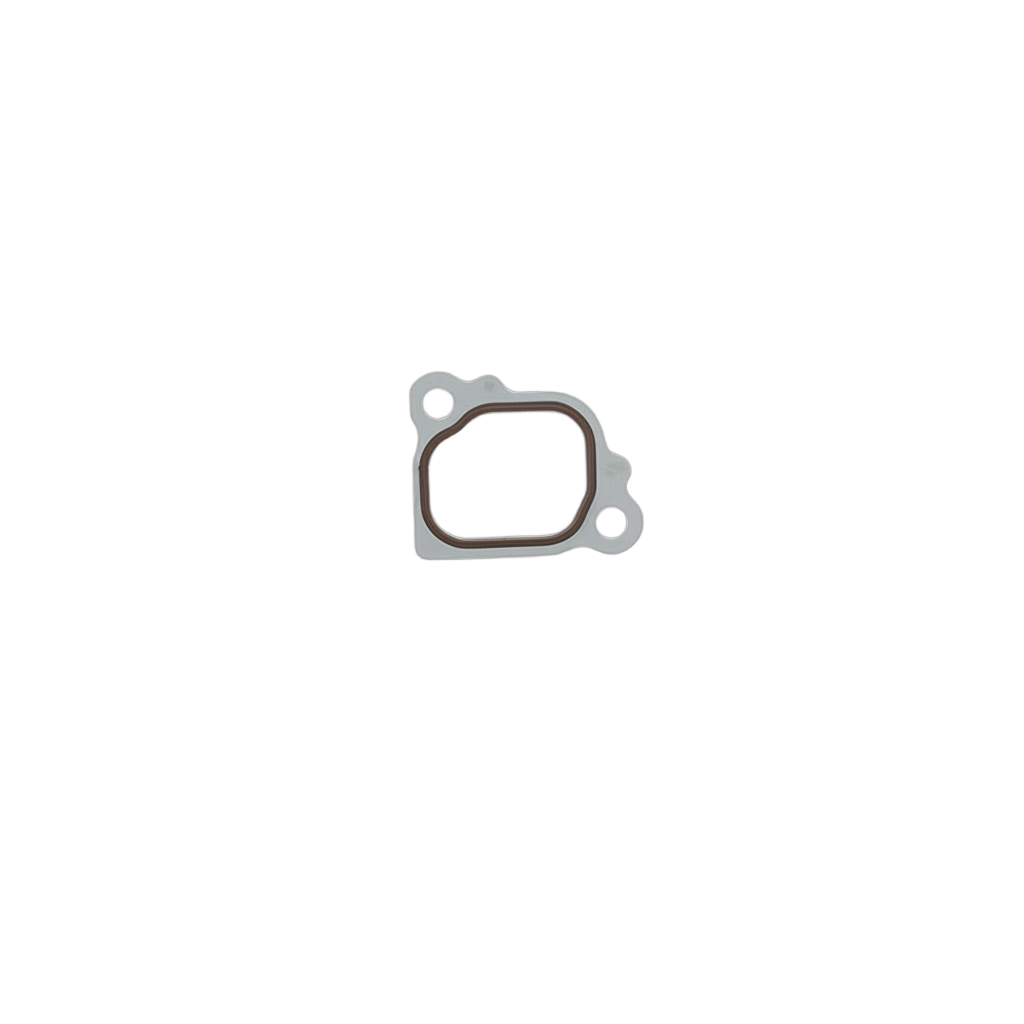 Gasket Water Outlet