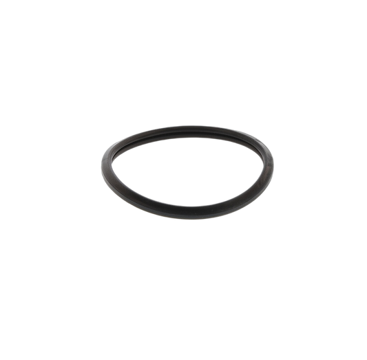 Gasket Thermostat
