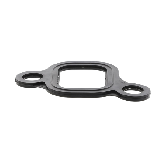 Gasket Intake