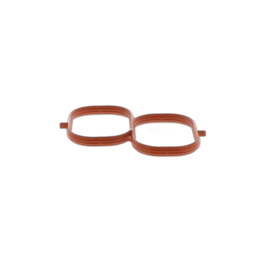 Gasket Air Surge