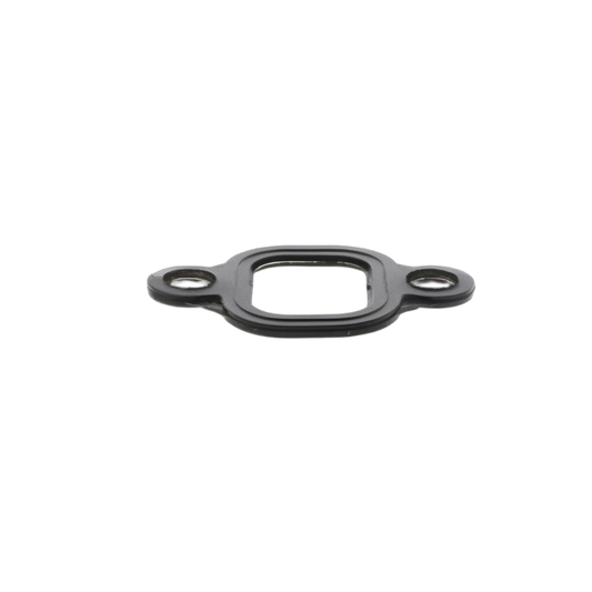 Gasket Intake