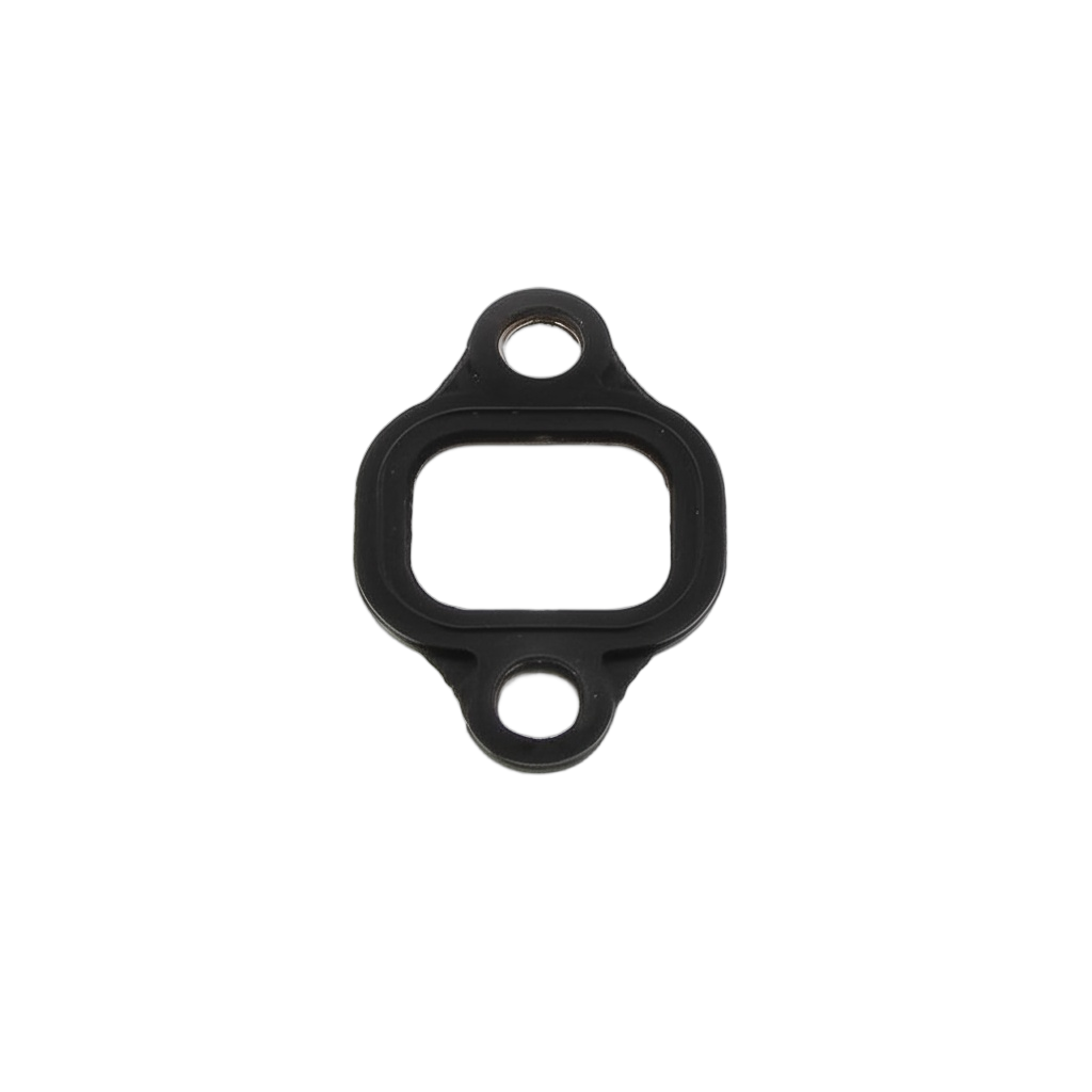 Gasket Intake