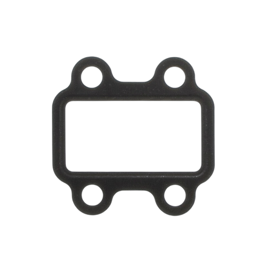 Gasket EGR Valve