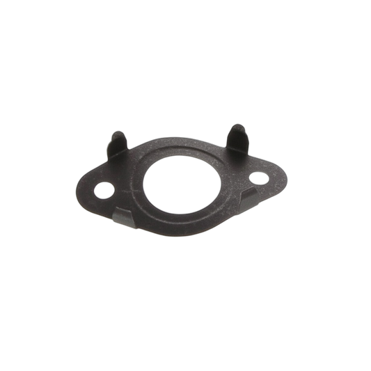Gasket EGR Valve