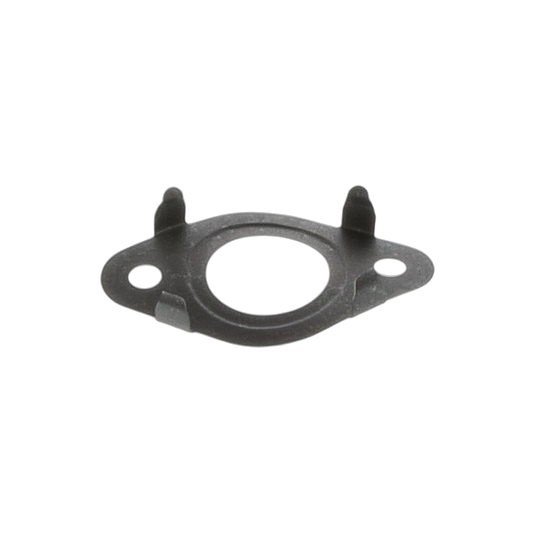 Gasket EGR Valve