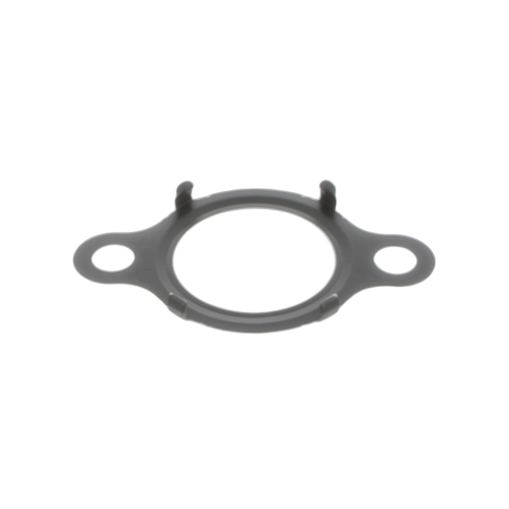 Gasket EGR Inlet